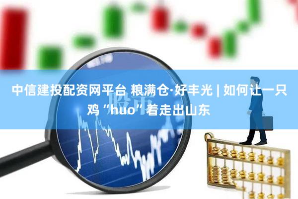 中信建投配资网平台 粮满仓·好丰光 | 如何让一只鸡“huo”着走出山东