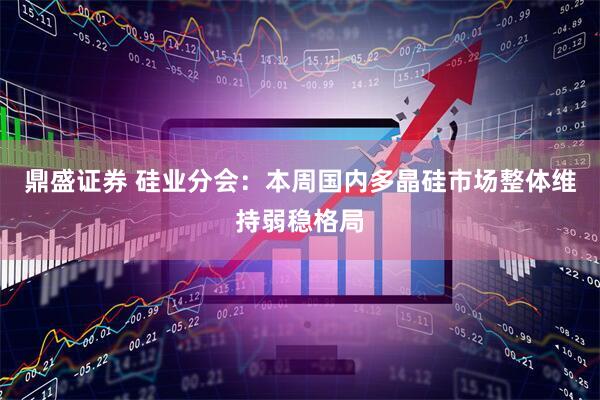 鼎盛证券 硅业分会：本周国内多晶硅市场整体维持弱稳格局