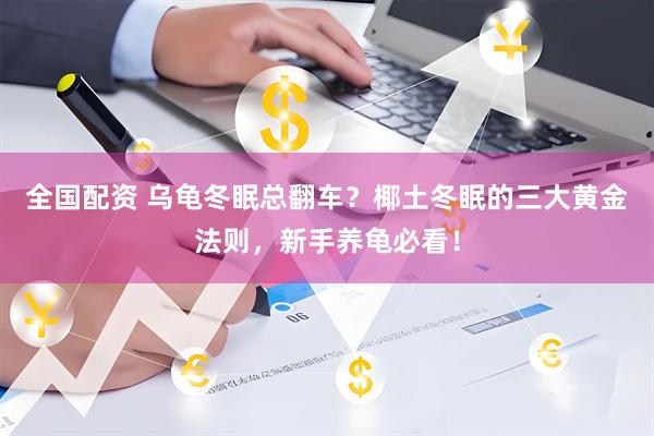 全国配资 乌龟冬眠总翻车？椰土冬眠的三大黄金法则，新手养龟必看！