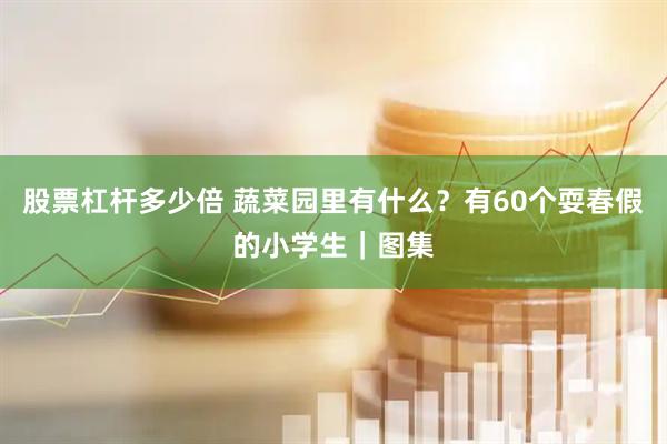 股票杠杆多少倍 蔬菜园里有什么？有60个耍春假的小学生｜图集